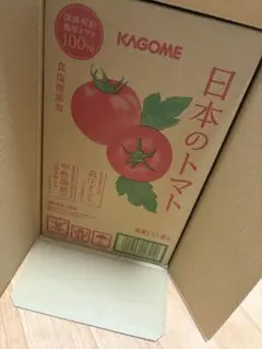 Item thumbnail for item 71b181f6-e200-4b2f-abb3-62f5565dcc62