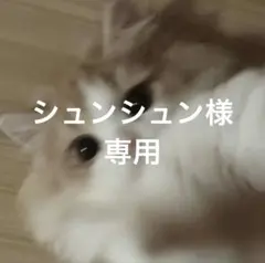 シュンシュン様専用ページ