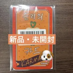 Stray Kids KARMA FANS ラキドロ リアルタッチ スンミン