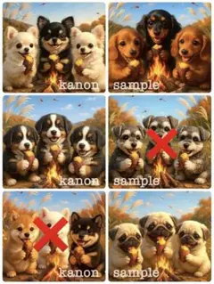 P305 パネル生地　柴犬　ダックスフンド　18×18 6枚1セット