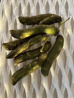 2025年最新】ムクナ豆の人気アイテム - メルカリ