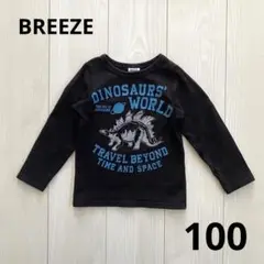 BREEZE 長袖 長袖Tシャツ ロンT 100 恐竜 黒 春 秋 男の子