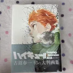 ハイキュー!! Complete Illustration Book