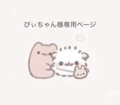 ぴぃちゃん様専用ページ