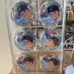 バラ売り可】ジャイアンツ 巨人軍 闘魂ガチャ ひたちなかver 缶バッジ 