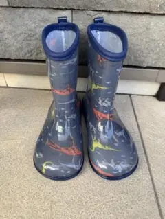 Item thumbnail for item 66ec730c-d662-429b-bf3f-8dc09dcdd408