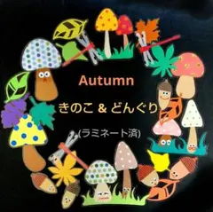 【秋の壁面飾り】きのこ & どんぐり (両面仕様)落ち葉♪カラフル♪ラミネート済