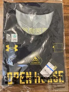 群馬クレインサンダーズ バスケットボール