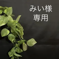 みい様　ワッシャーコットン　フレンチ袖裾フリルのブラウス