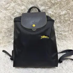 グレー ロンシャン ルプリアージュ リュック バックパック 70周年記念 