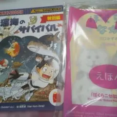 Item thumbnail for item f8dbb8ba-ad6b-4dfe-974e-d73f9ffeb2dc