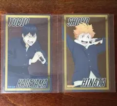 ハイキュー　まねきねこ　クリアカード　日向　影山