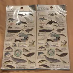 Item thumbnail for item aeda36b5-97a4-4644-8aa1-e8ff82157bf3