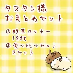 【タヌタン様専用】小動物のおやつおまとめセット
