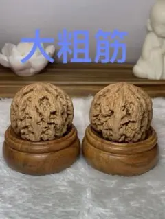 SSS天然原桩、大粗筋クルミ