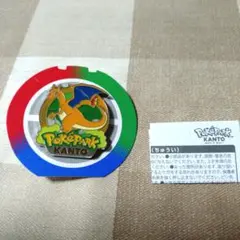 ポケパークカントー 限定ピンバッジ リザードン ポケモン