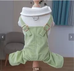 Item thumbnail for item bc7f3dbe-0300-415b-b71e-81e143f162dc