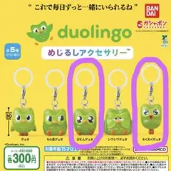 2個セット　デュオリンゴ Duolingo めじるしアクセサリー　キーホルダー