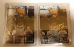 Item thumbnail for item e3c206ca-b9fc-4de6-bb26-bfad2263dcc6