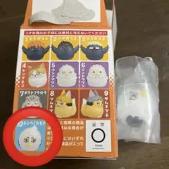 ハイキュー‼︎ おすわりちょこん2 星海光来　ホシウミカモメ