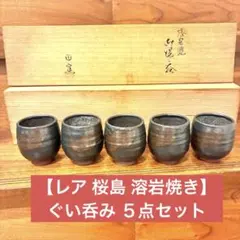 【レア 桜島 溶岩焼き】ぐい呑み ５点セット それぞれ模様が違います
