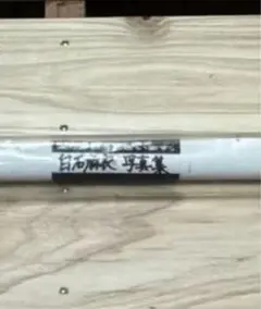 【激レア！？】白石麻衣パスポート　限定ポスター