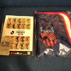 FC東京 開幕熱狂ブランケット ＆ ファンタジーカード　（未開封）