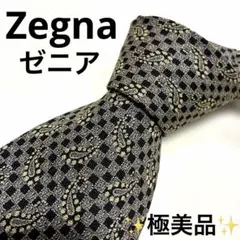 【極美品】高級 Ermenegildo Zegna ゼニア ネクタイ ペイズリーのサムネイル