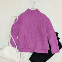 グリーンレーベルリラクシング ハミルトンウールニット タートルネック 紫