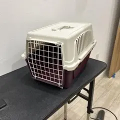 Item thumbnail for item 4f9e1bd3-0f8a-4479-a205-1f03b1078171