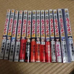 新世紀エヴァンゲリオン 1~14巻　完結セット　13巻のみプレミアム限定版