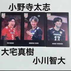 Item thumbnail for item a740b228-4a03-41ce-baa6-c98484ef576f