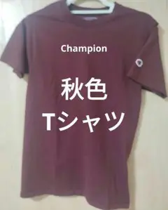 秋色Champion Tシャツ
