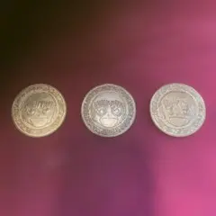 Item thumbnail for item 8a7e2f61-637d-4b66-b9ec-d18e45b2fd0e