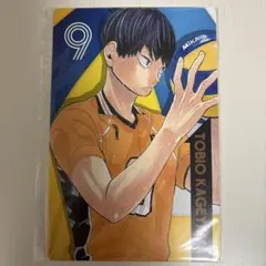 ハイキュー 影山飛雄 ポートレートカード