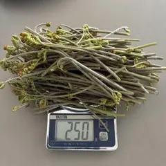 いま採れ　わらび　約250g