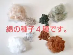 のーにん様 リクエスト 2点 まとめ商品