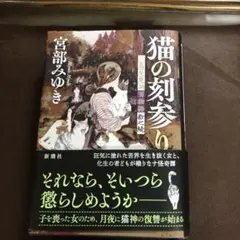 Item thumbnail for item 99801033-4f8f-40f0-abfe-701401589f9c