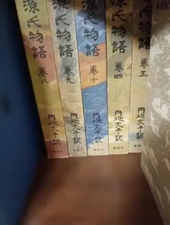 五條瑛 革命小説シリーズ 9冊セット ※愛罪なし／7巻帯なし／汚れあり