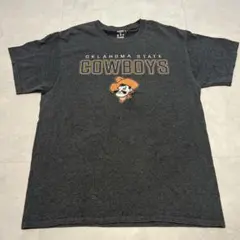 champion チャンピオン　Tシャツ Mサイズ グレー