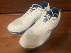 Item thumbnail for item 1e38555d-d480-4e3a-bd69-deb7d319afcc