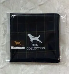 Item thumbnail for item d1f7c598-1dc6-4034-a978-a231e08857f8