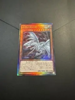 2026年最新】青眼の亜白龍 レリーフの人気アイテム - メルカリ