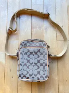 Item thumbnail for item 261ea9f8-378a-4038-8999-826df8681581