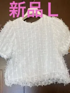 フォロー200円引しました　新品未使用　ホワイトレースシフォン生地 フリル付き