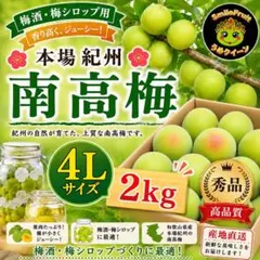 今年も入荷‼️和歌山県産 完熟南高梅 超大玉‼️4Lサイズ 2kg みかん