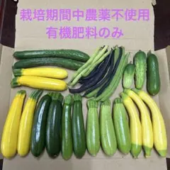 ミニズッキーニセット　　ネコポスのサムネイル
