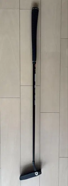 ピレッティ コルティノ エリート LAGP Shaftのサムネイル