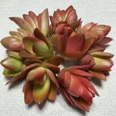 優飛mama様 リクエスト 2点 まとめ商品