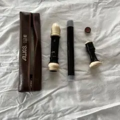 Item thumbnail for item cfd0e561-525e-4201-a589-dcb41029ba79